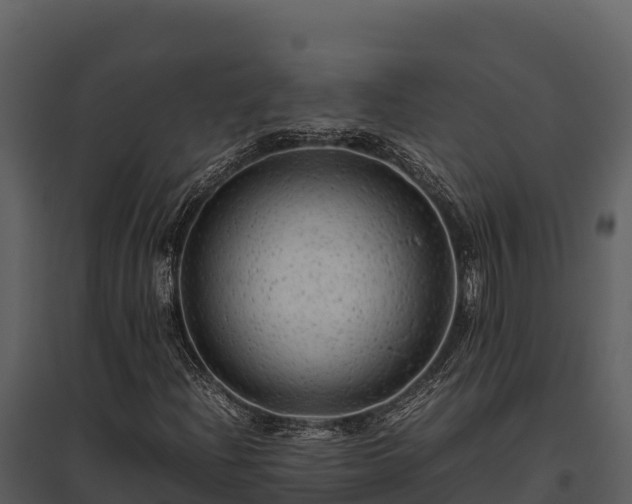 X0000095691204200801151141