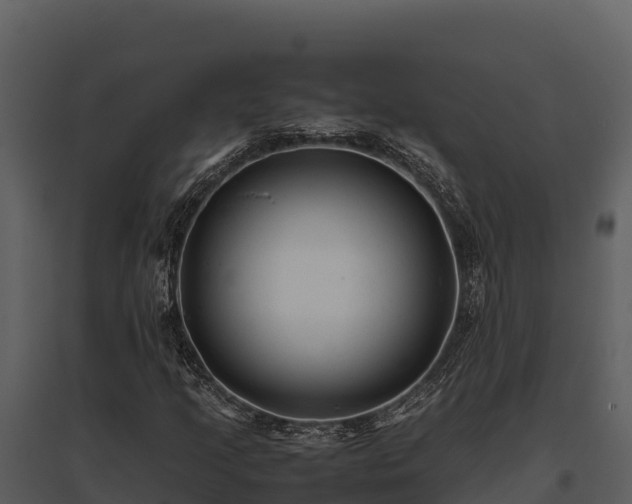 X0000095691205200801151141