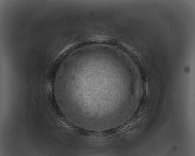 X0000095691206200801151141