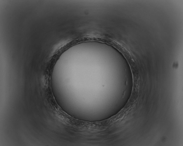 X0000095691207200801151141