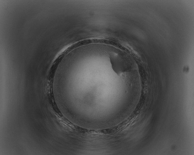 X0000095691208200801151141