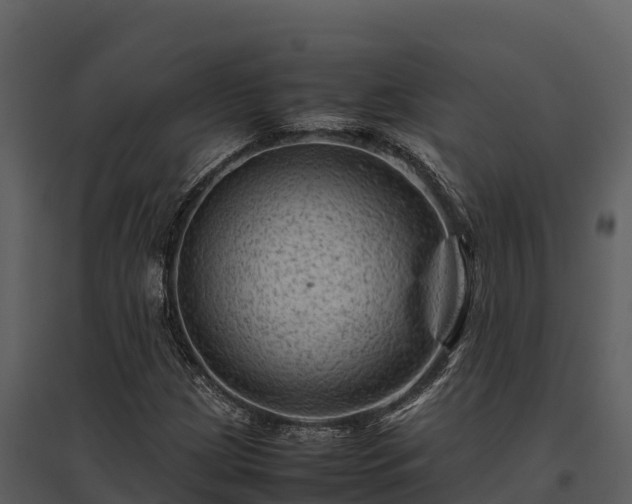 X0000095691209200801151141