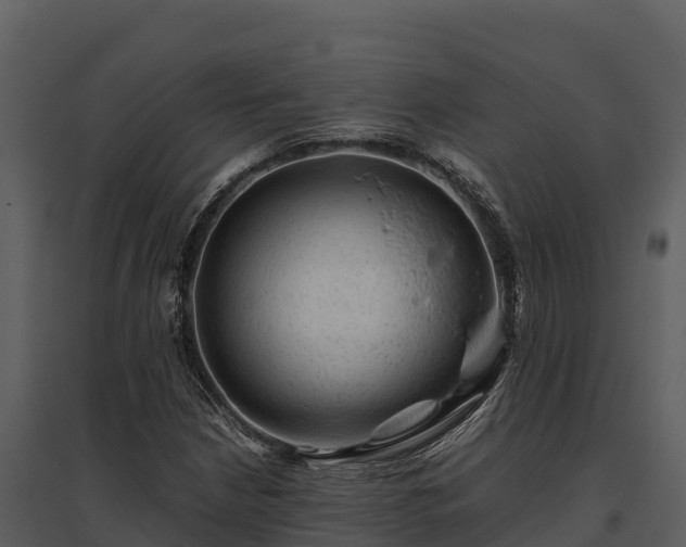 X0000095691210200801151141