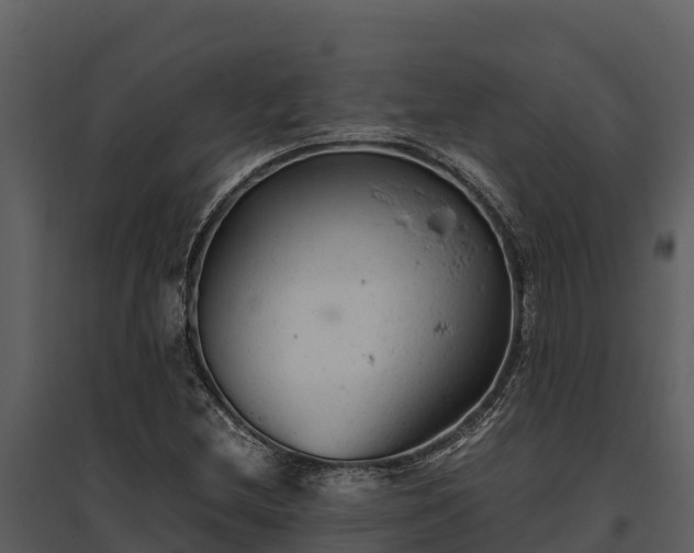 X0000095691212200801151141
