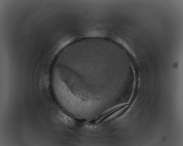 X0000095691213200801151141