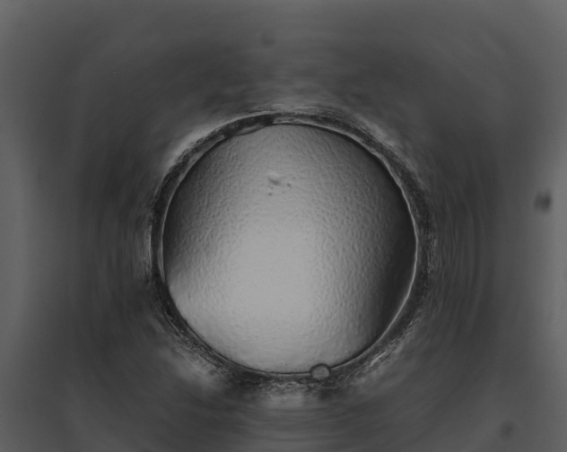 X0000095691214200801151141