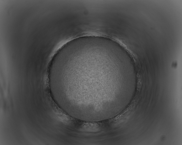 X0000095691215200801151141