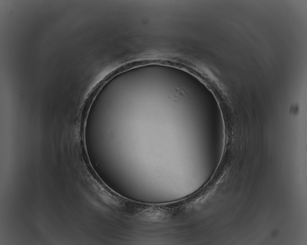 X0000095691216200801151141