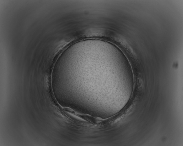 X0000095691217200801151141