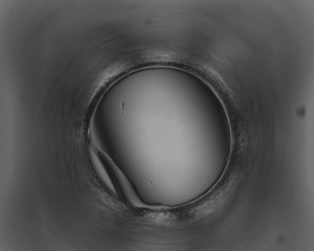 X0000095691218200801151141