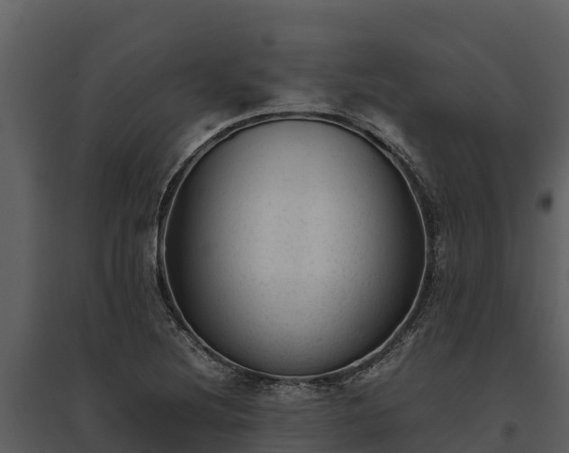 X0000095691220200801151141