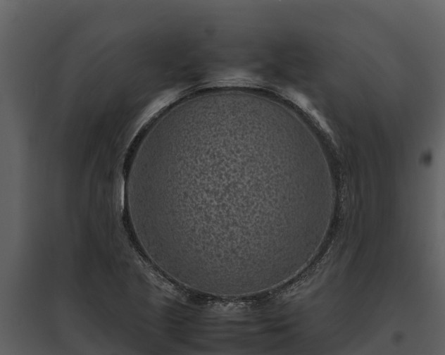 X0000095691221200801151141