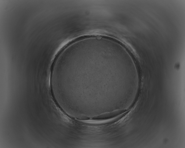 X0000095691224200801151141