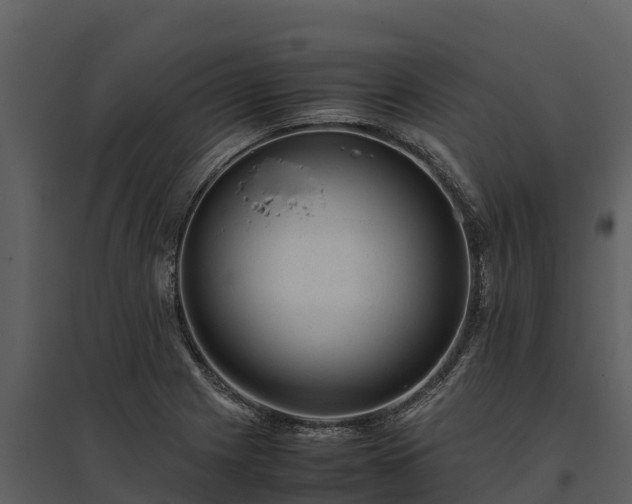 X0000095691225200801151141