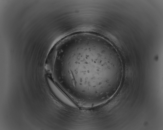 X0000095691226200801151141