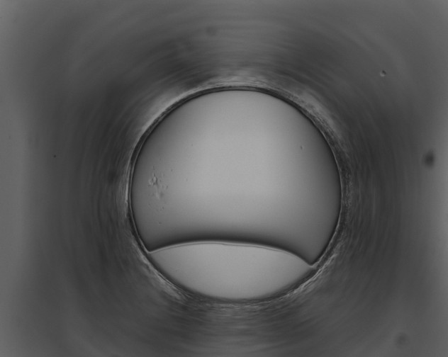 X0000095691228200801151141