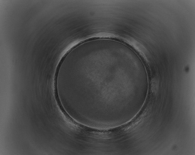 X0000095691229200801151141