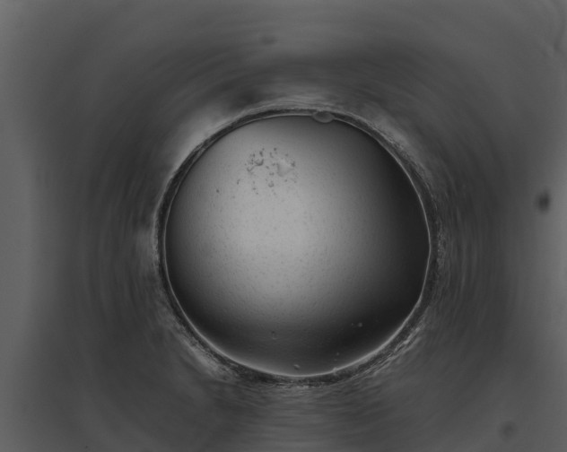 X0000095691230200801151141