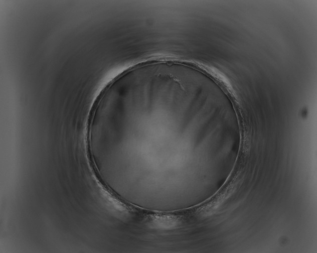 X0000095691231200801151141