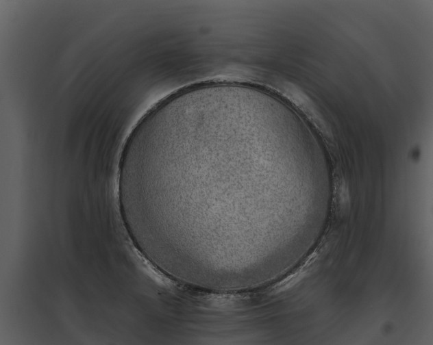 X0000095691232200801151141