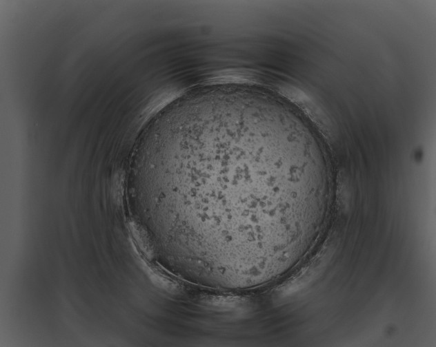 X0000095691233200801151141