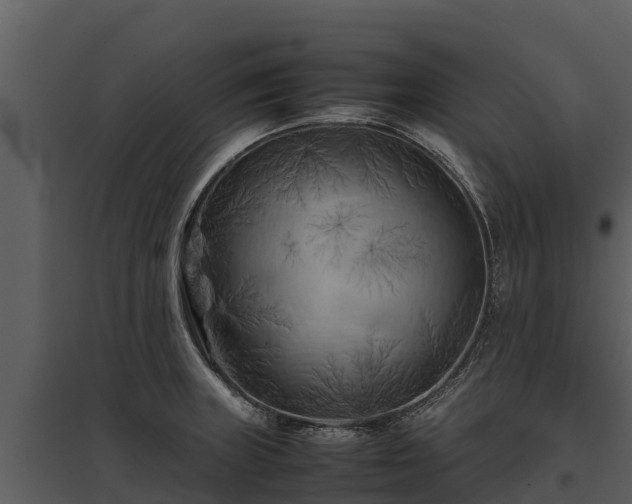 X0000095691235200801151141
