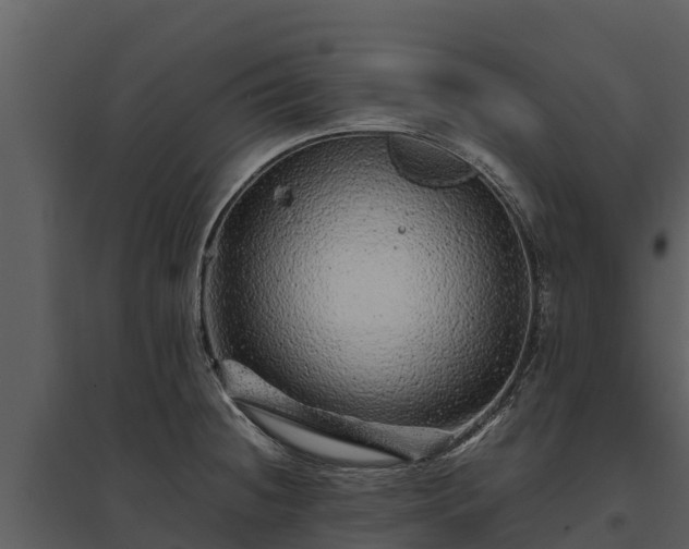 X0000095691236200801151141