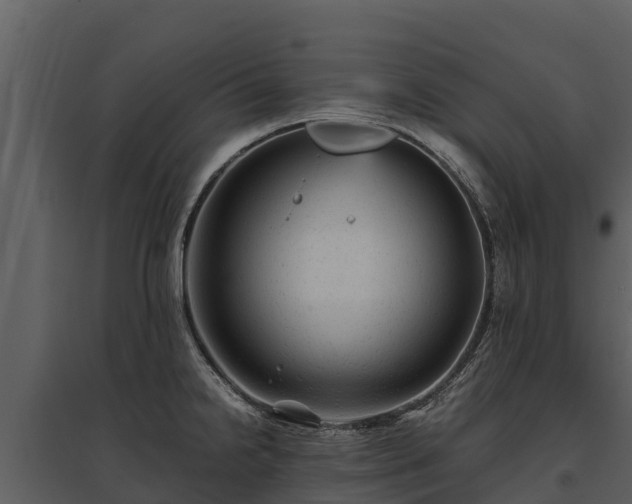 X0000095691238200801151141