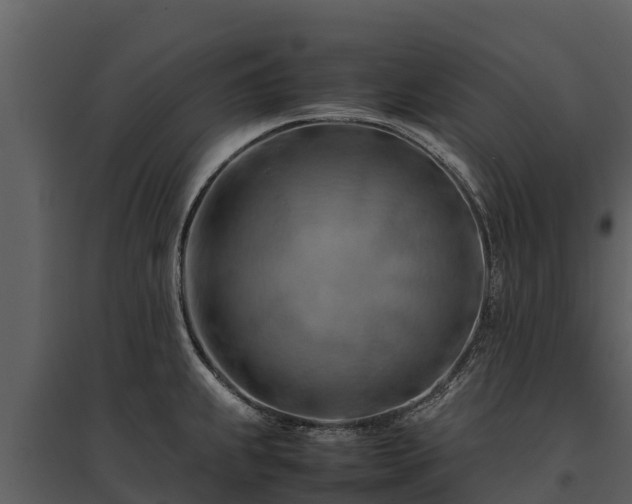 X0000095691239200801151141