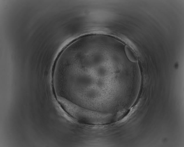 X0000095691240200801151141