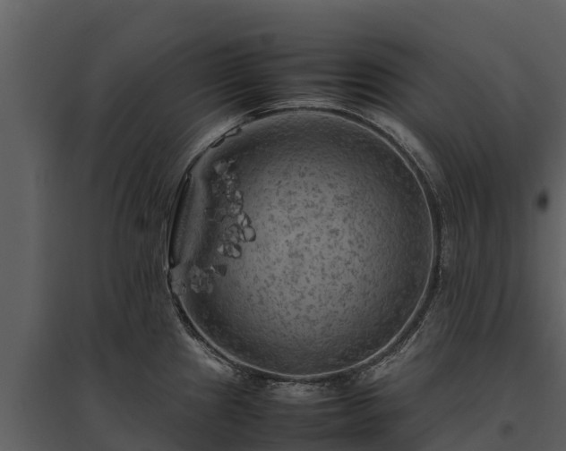 X0000095691241200801151141