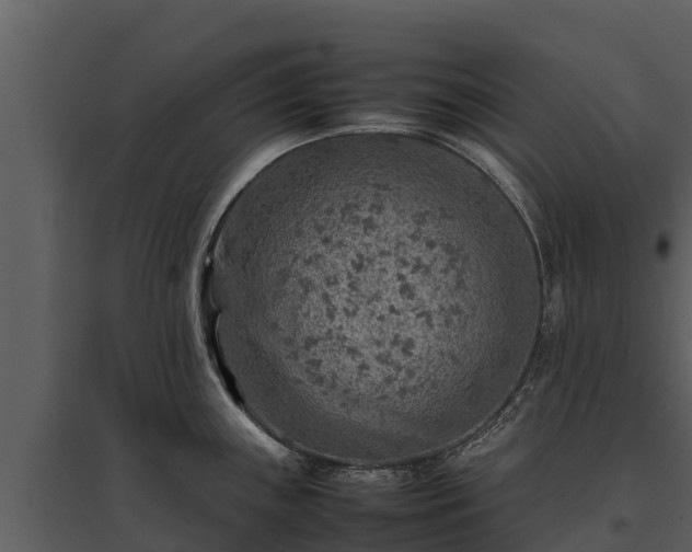 X0000095691243200801151141