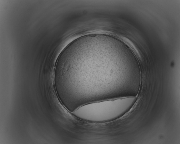X0000095691244200801151141