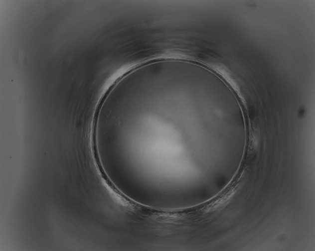 X0000095691245200801151141