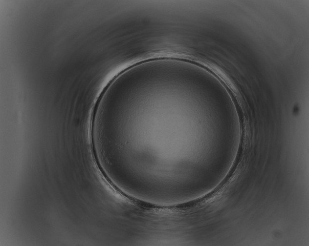 X0000095691246200801151141