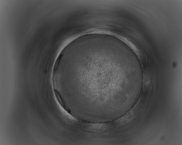 X0000095691247200801151141