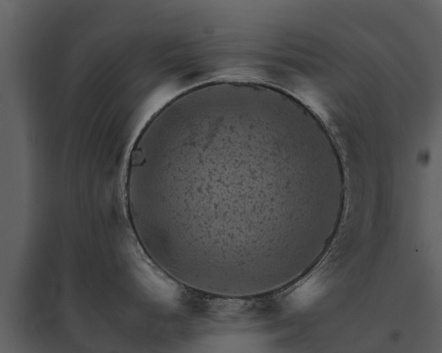 X0000095691248200801151141