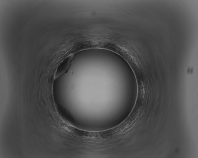 X0000095691249200801151140