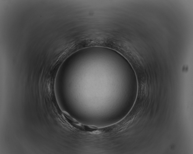 X0000095691250200801151140