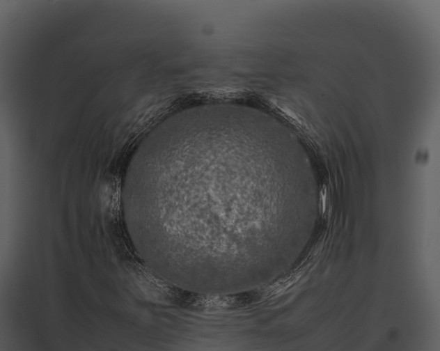 X0000095691251200801151140