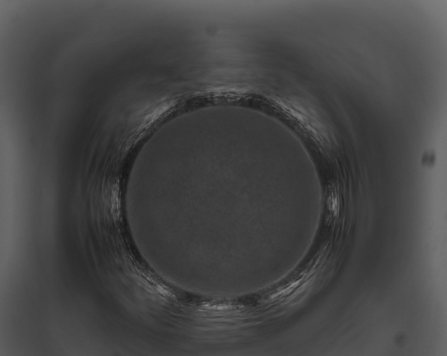 X0000095691252200801151140