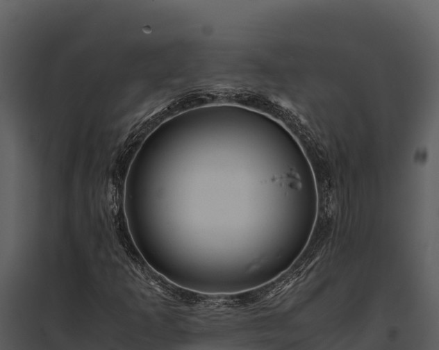 X0000095691253200801151140