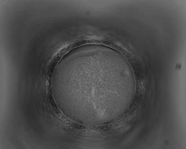 X0000095691254200801151140