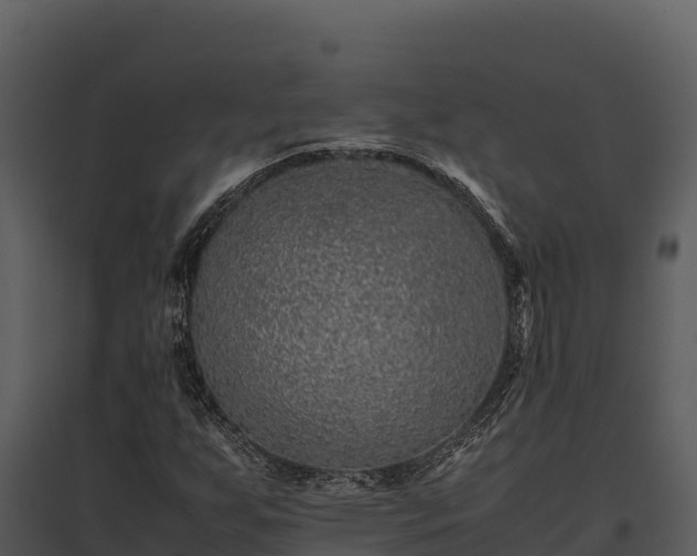 X0000095691255200801151140