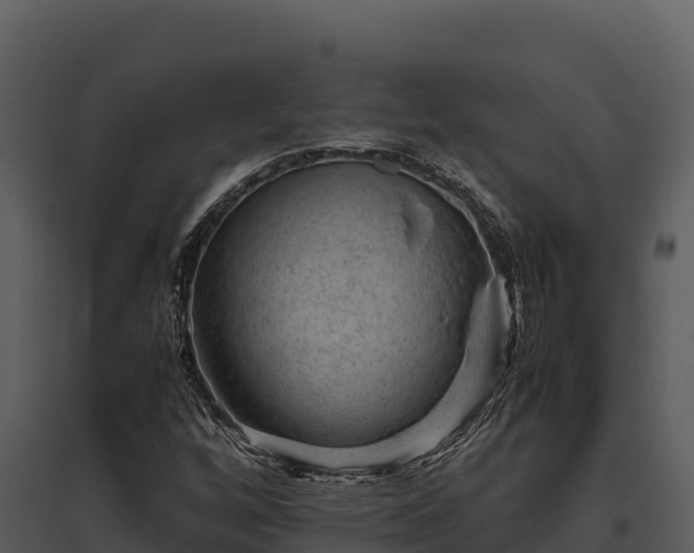 X0000095691256200801151140