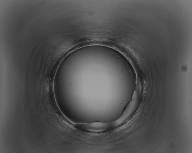 X0000095691257200801151140