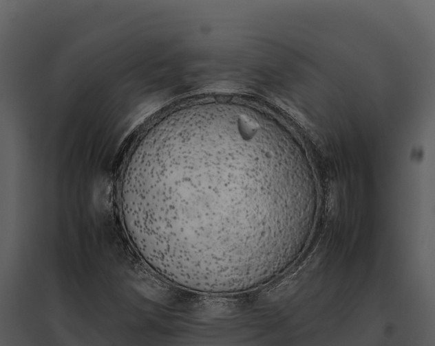 X0000095691258200801151140