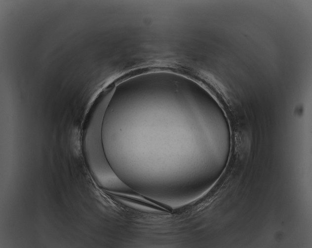 X0000095691260200801151140