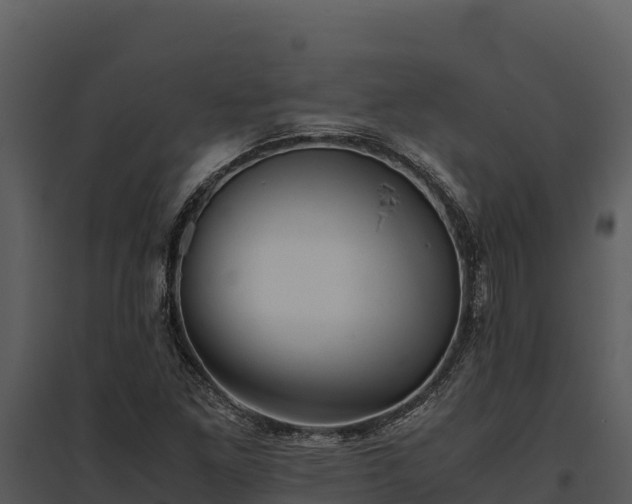 X0000095691261200801151140
