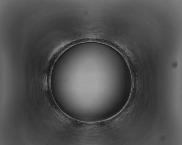 X0000095691262200801151140